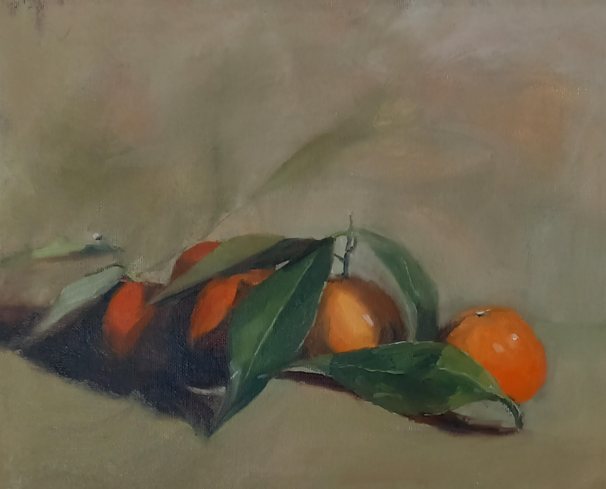 **Lemons** *Oil on canvas* 30 x 40 cm (12 x 16 inches)
