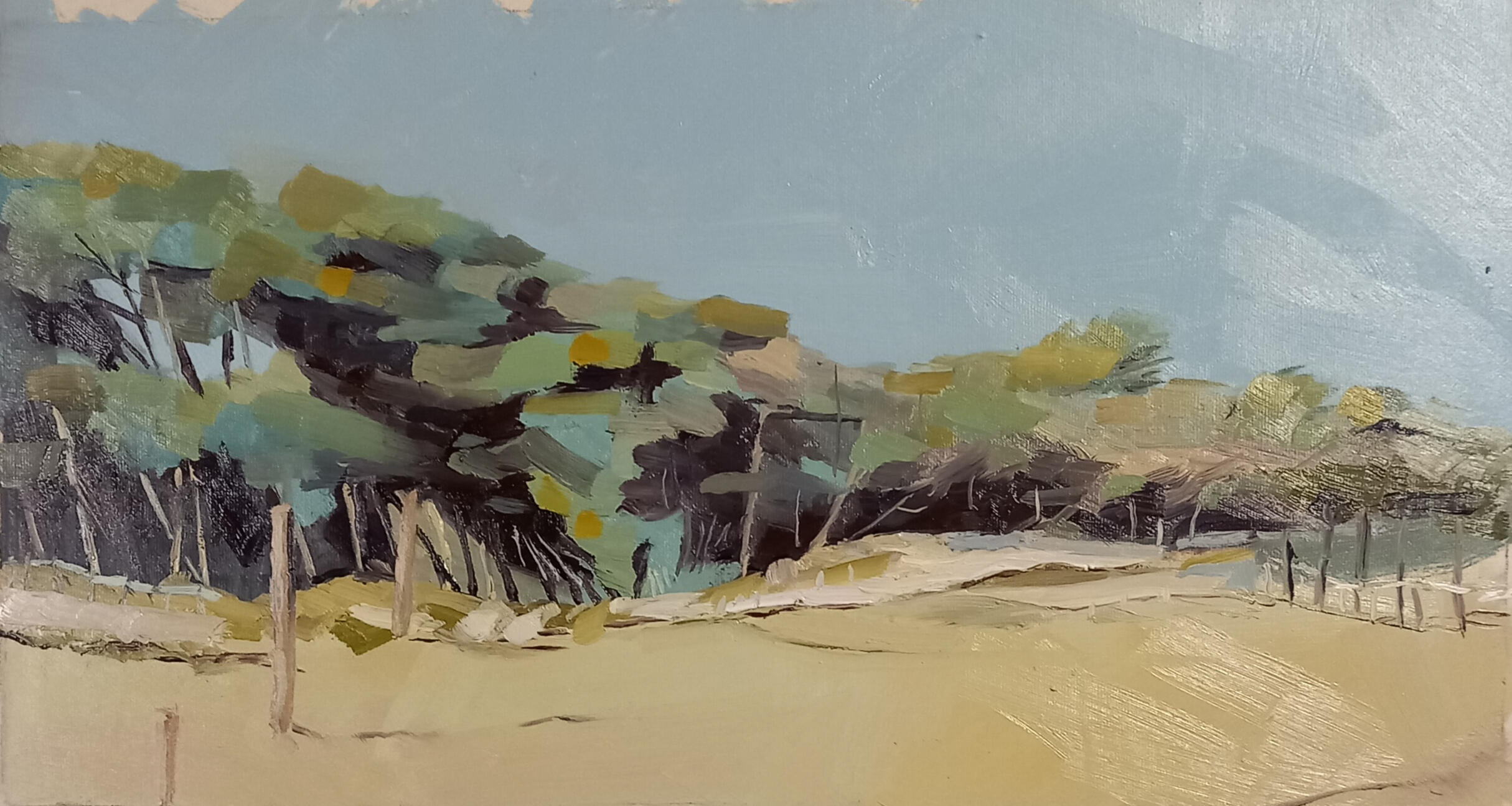**Lemons** *Oil on canvas* 30 x 40 cm (12 x 16 inches)